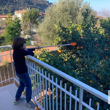 La Terrazza Family Holidays - Sorrento Coast Sant'Agnello Exteriör bild