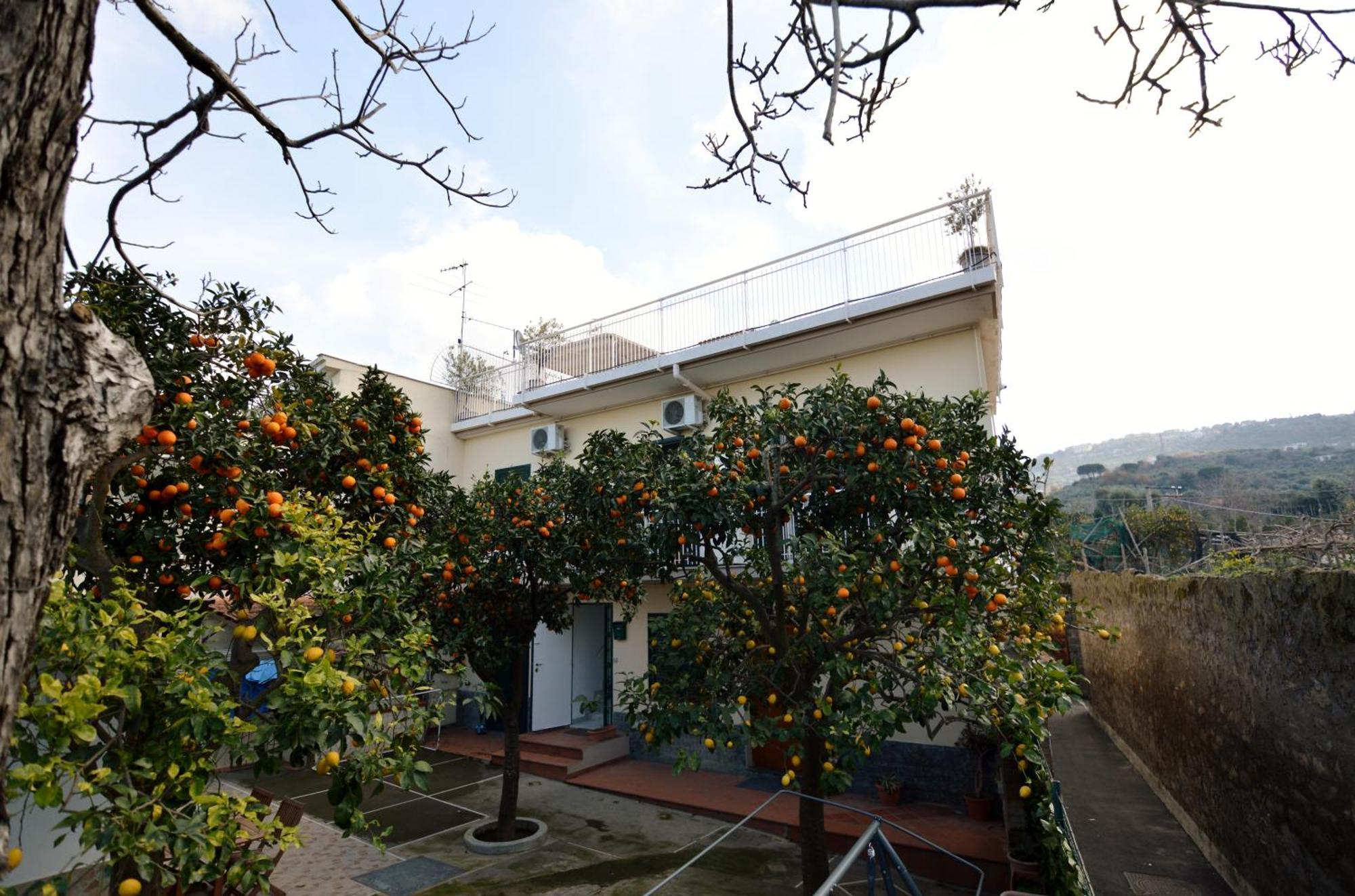 La Terrazza Family Holidays - Sorrento Coast Sant'Agnello Exteriör bild
